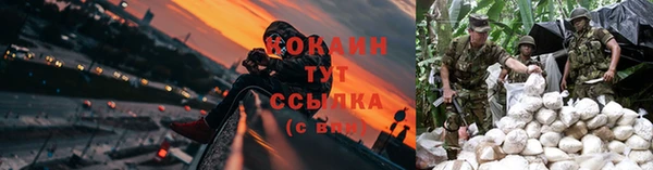 кокаин колумбия Богданович