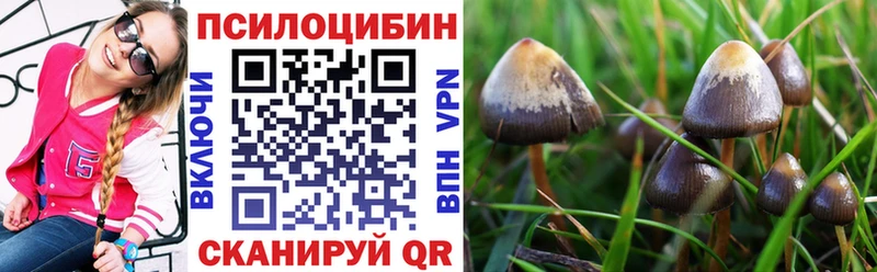 Псилоцибиновые грибы ЛСД Будённовск