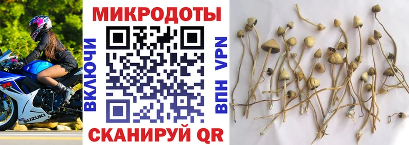 Галлюциногенные грибы Cubensis  Будённовск 
